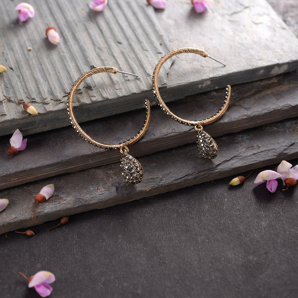 Silvery Hoops Earrings